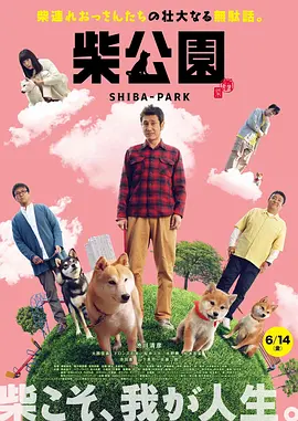 一区二区三区视频网站