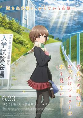 我的女友2019