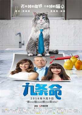 在线观看精品一区