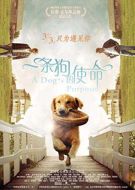 亚洲在线色