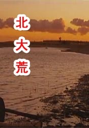 久草青娱乐