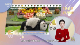 色婷亚洲